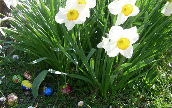 Chasse aux œufs de Pâques dans les jardins de l’abbaye